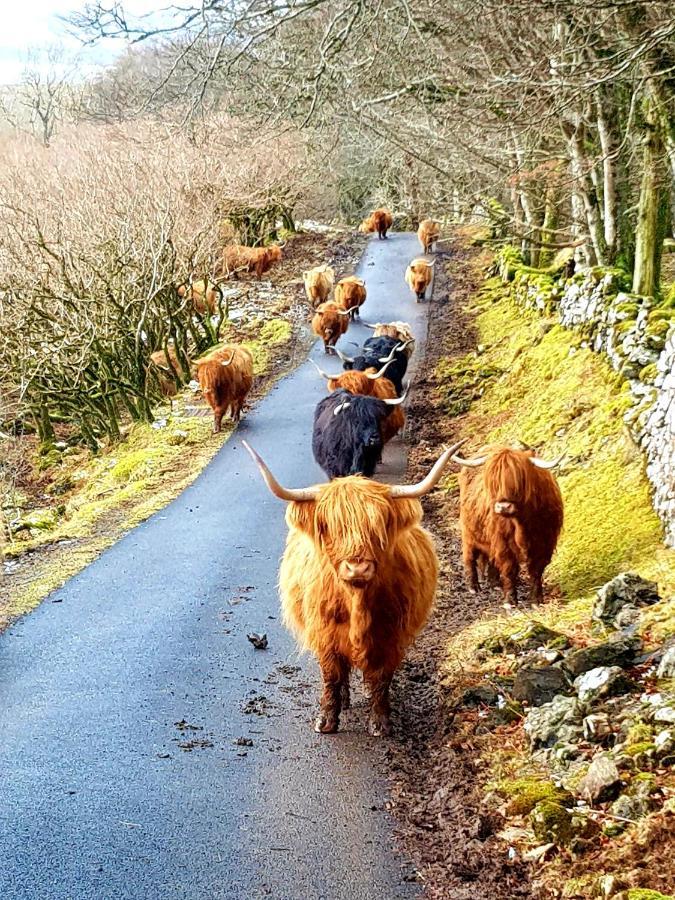 Kirk Cottage Tobermory Ngoại thất bức ảnh